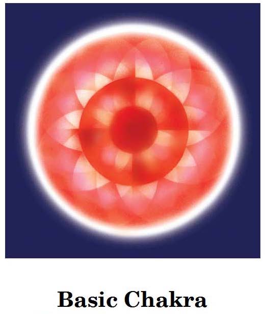 Basic Chakra