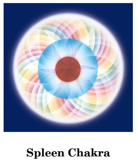 Spleen Chakra